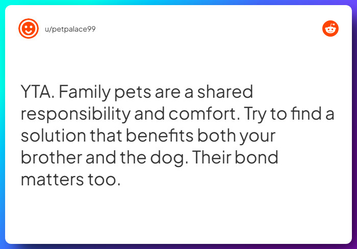 Comment from u/petpalace99