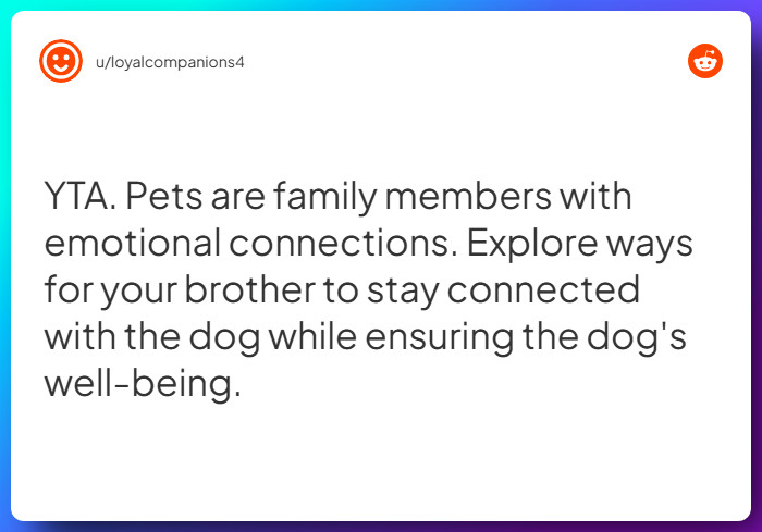 Comment from u/loyalcompanions4