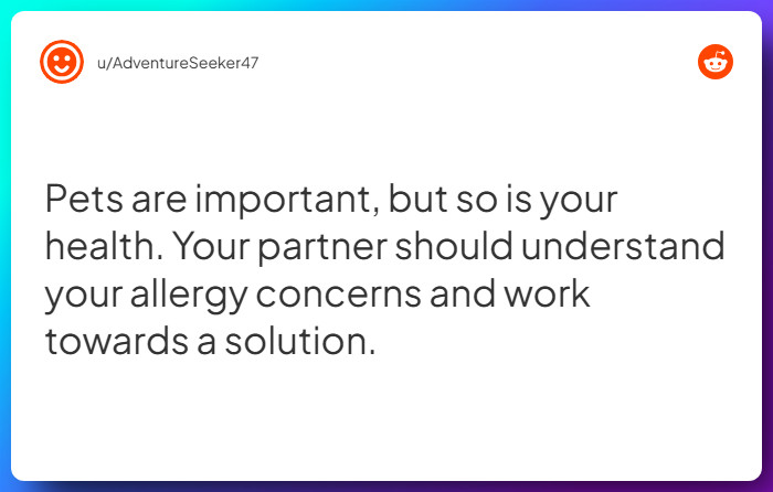 Comment from u/AdventureSeeker47