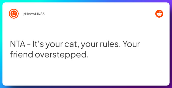 Comment from u/MeowMix83