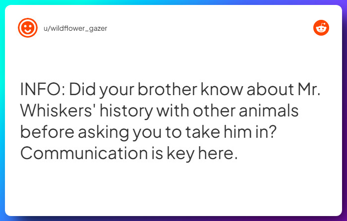 Comment from u/wildflower_gazer