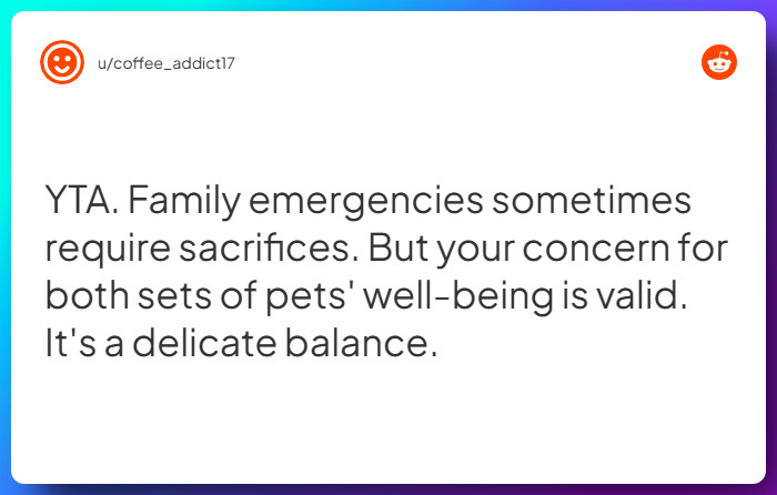 Comment from u/coffee_addict17