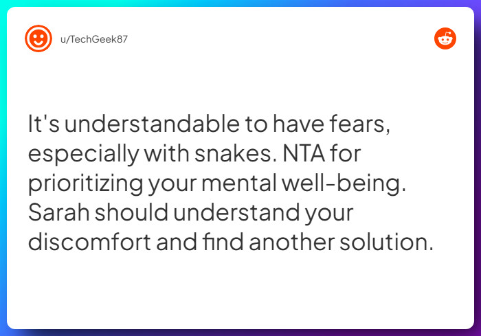 Comment from u/TechGeek87