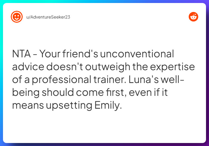 Comment from u/AdventureSeeker23