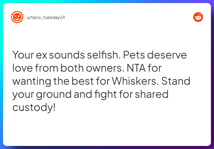 Comment from u/taco_tuesday24