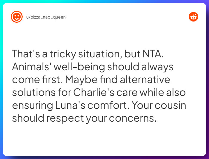 Comment from u/pizza_nap_queen