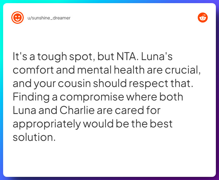 Comment from u/sunshine_dreamer