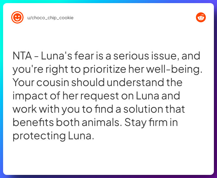 Comment from u/choco_chip_cookie