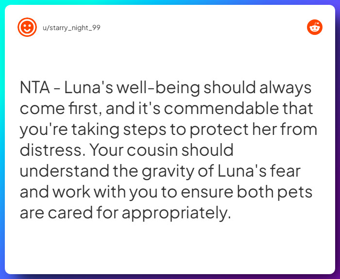 Comment from u/starry_night_99