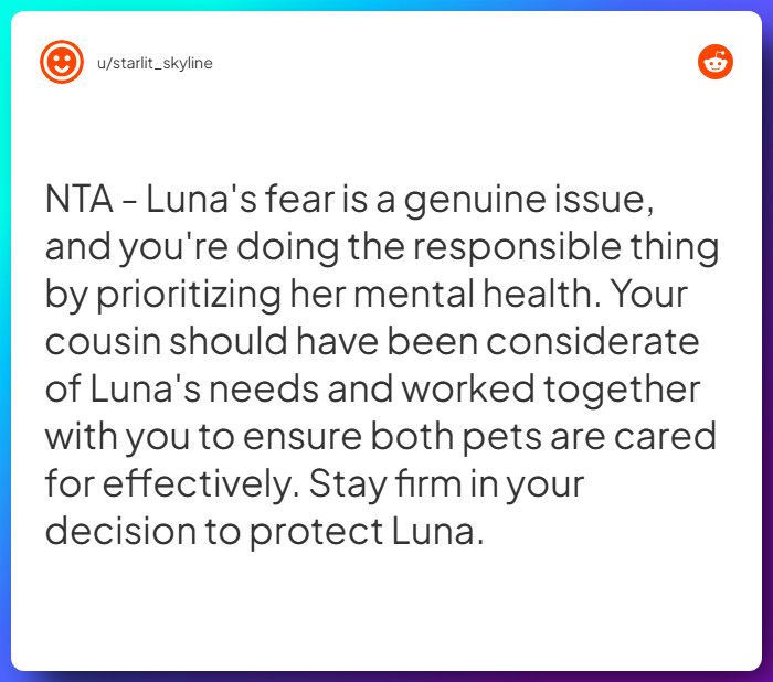 Comment from u/starlit_skyline