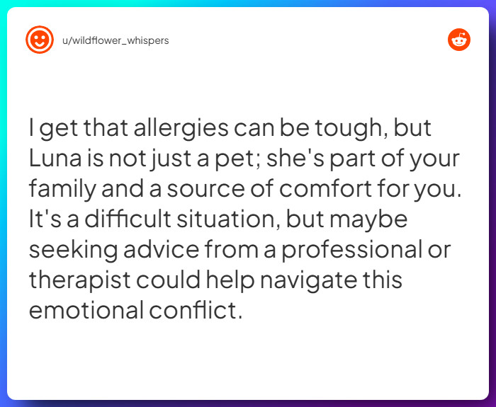 Comment from u/wildflower_whispers