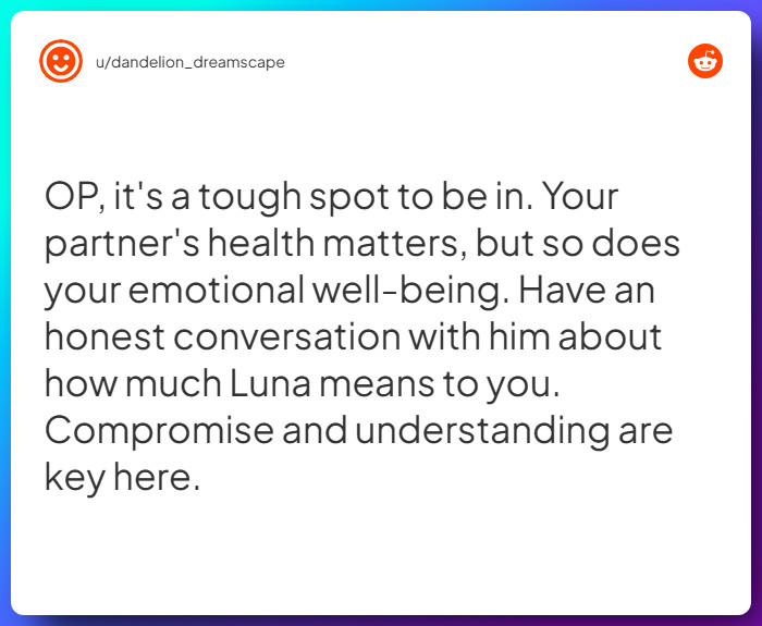 Comment from u/dandelion_dreamscape