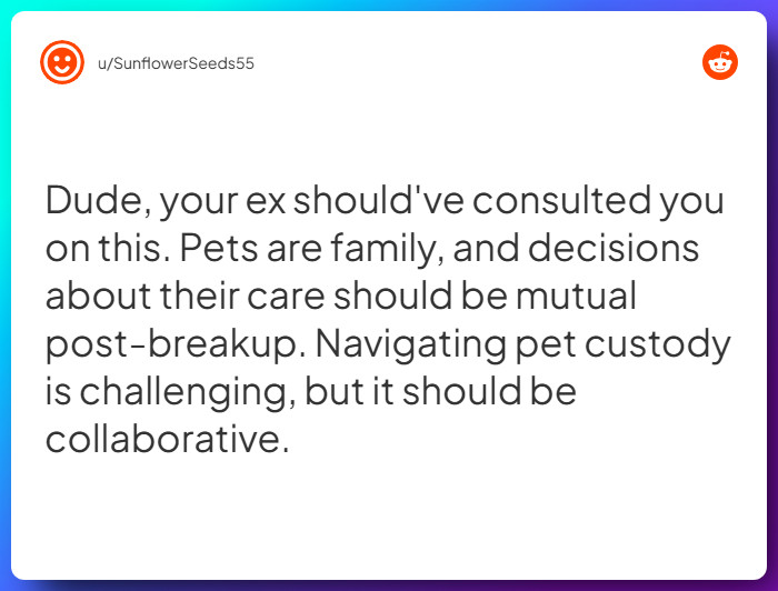 Comment from u/SunflowerSeeds55