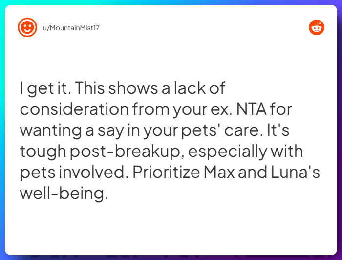 Comment from u/MountainMist17