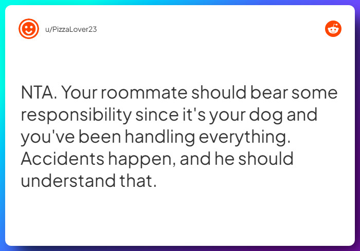 Comment from u/PizzaLover23