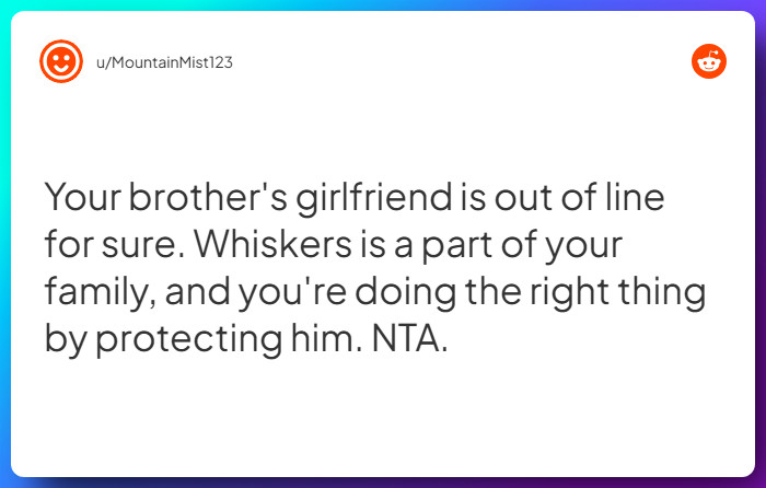 Comment from u/MountainMist123