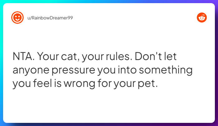 Comment from u/RainbowDreamer99