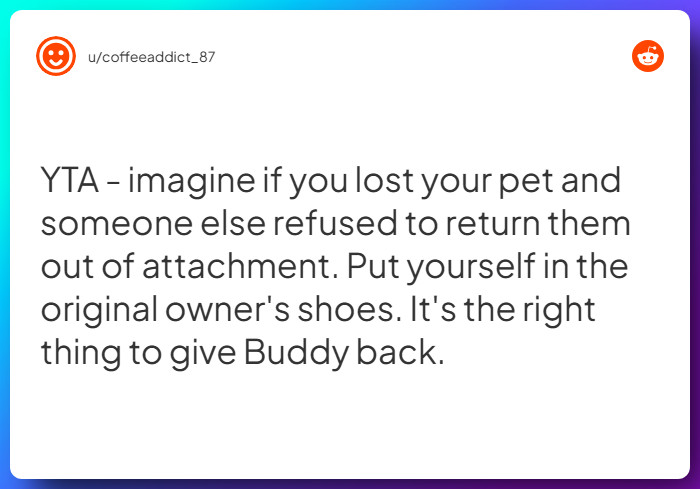 Comment from u/coffeeaddict_87