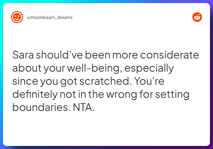 Comment from u/moonbeam_dreams