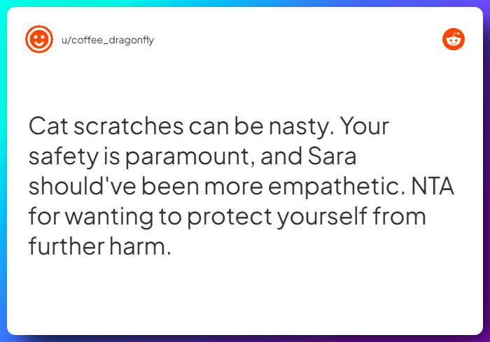 Comment from u/coffee_dragonfly