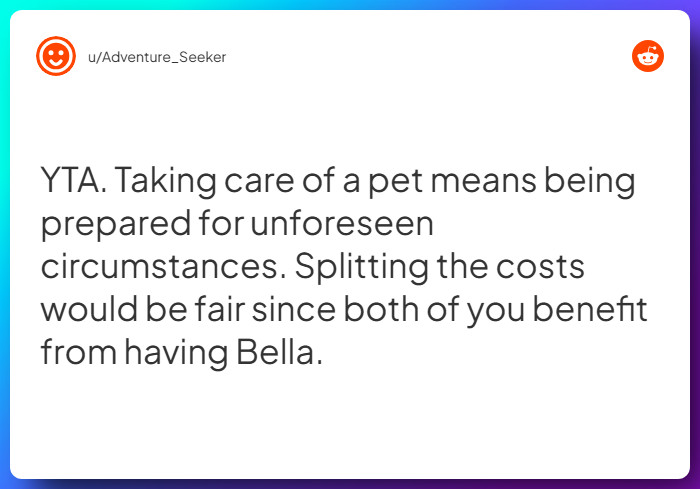 Comment from u/Adventure_Seeker