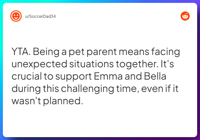 Comment from u/SoccerDad34