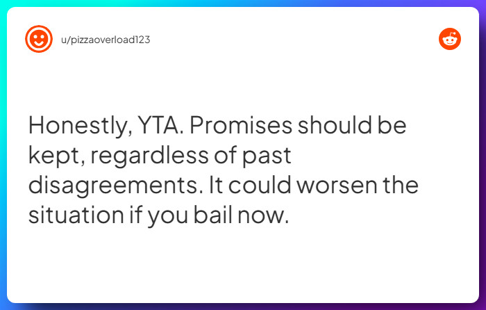 Comment from u/pizzaoverload123