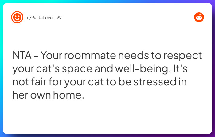 Comment from u/PastaLover_99