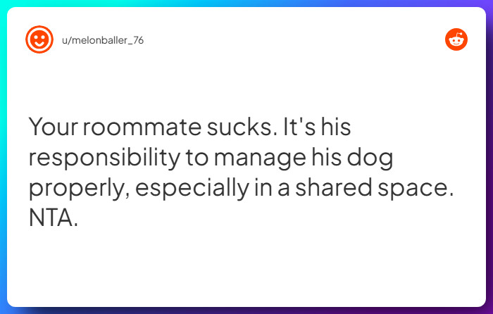 Comment from u/melonballer_76