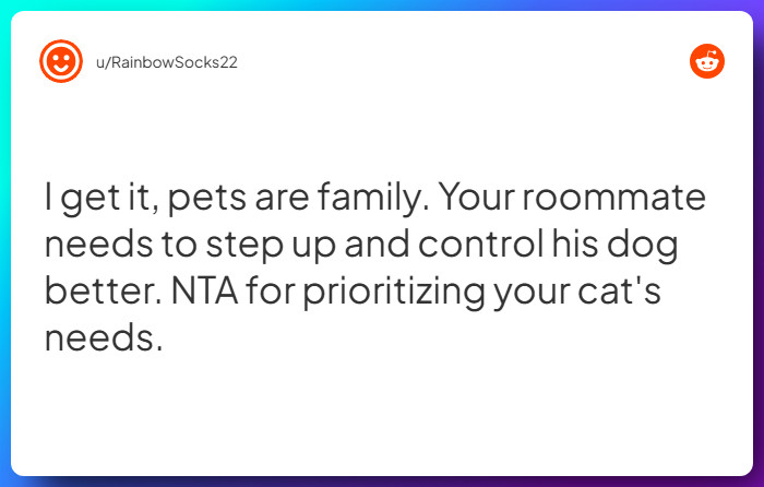 Comment from u/RainbowSocks22