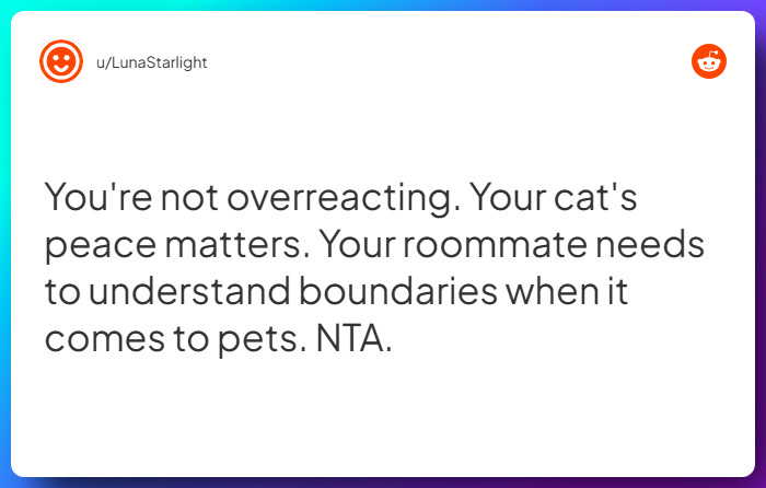 Comment from u/LunaStarlight