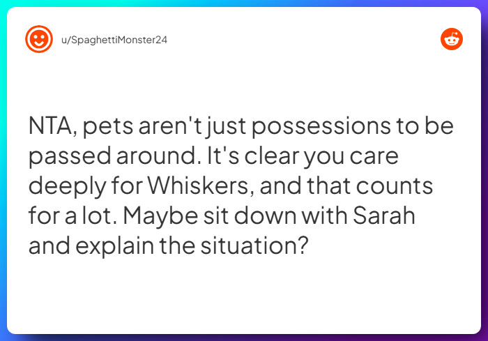 Comment from u/SpaghettiMonster24