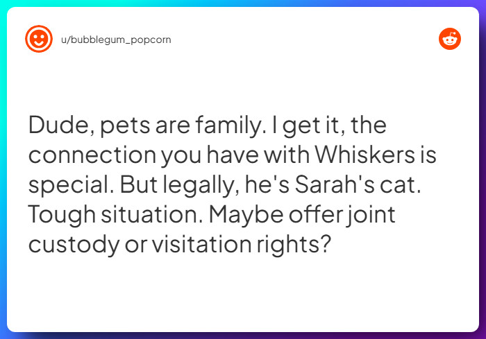 Comment from u/bubblegum_popcorn