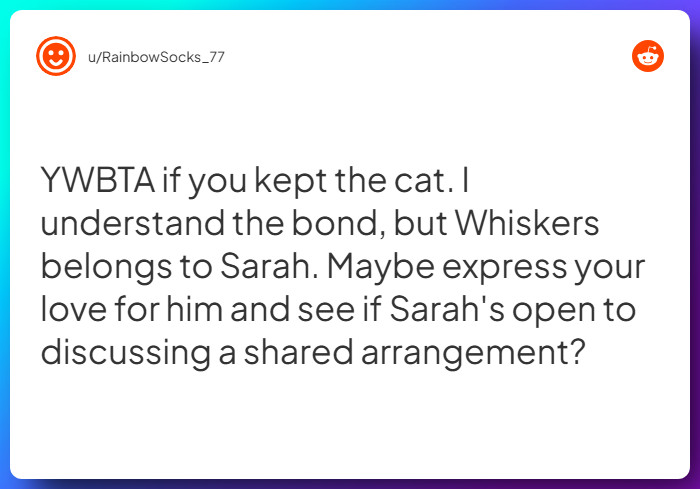 Comment from u/RainbowSocks_77