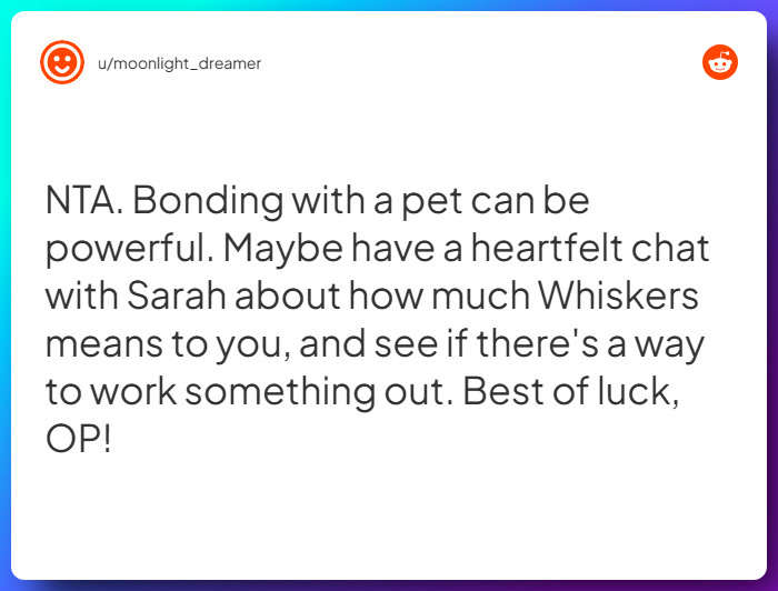 Comment from u/moonlight_dreamer