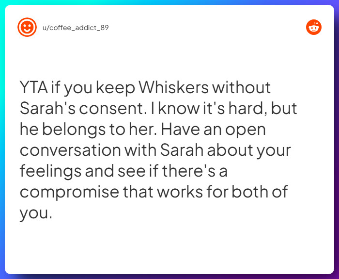 Comment from u/coffee_addict_89