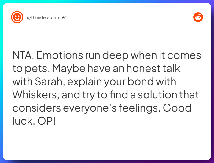 Comment from u/thunderstorm_96