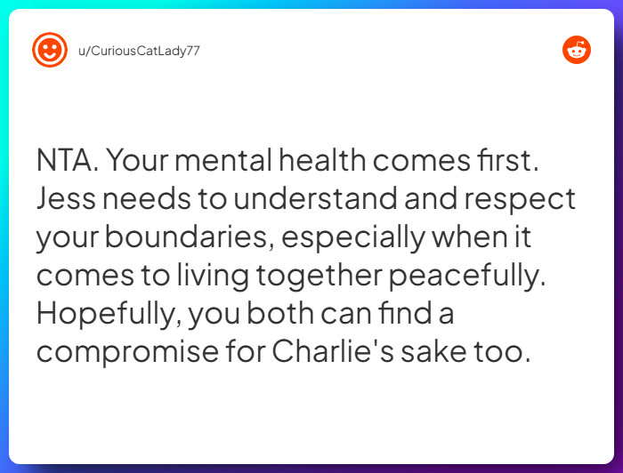 Comment from u/CuriousCatLady77