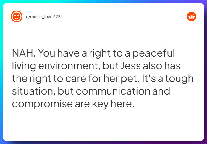 Comment from u/music_lover123