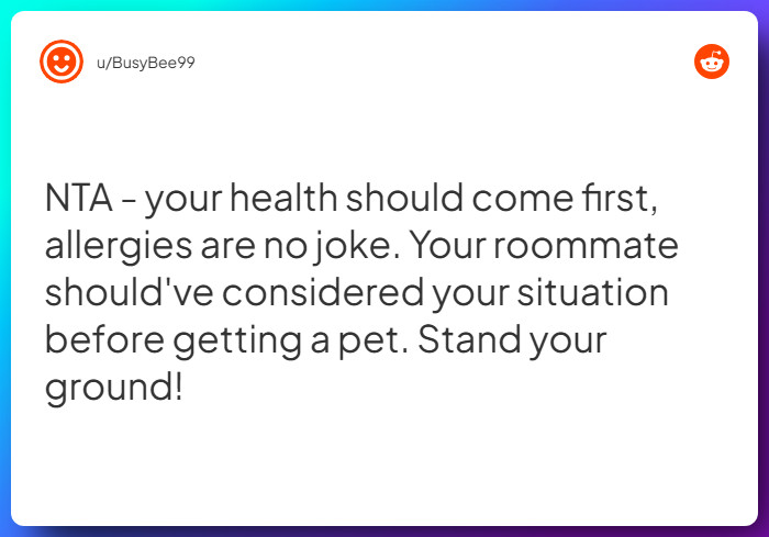 Comment from u/BusyBee99