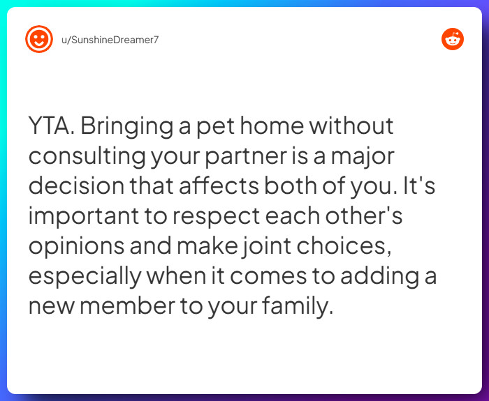 Comment from u/SunshineDreamer7