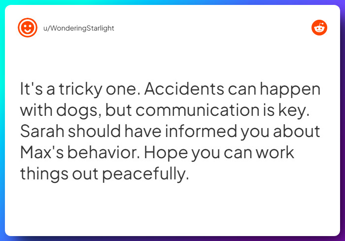 Comment from u/WonderingStarlight