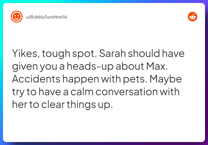 Comment from u/BubblySunshine56