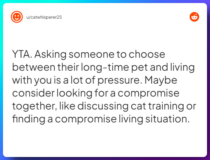 Comment from u/catwhisperer25