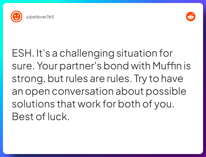 Comment from u/petlover365