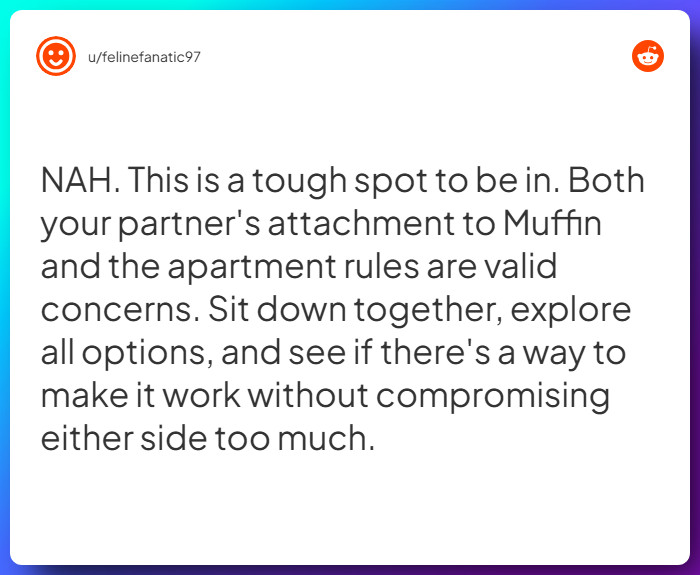 Comment from u/felinefanatic97