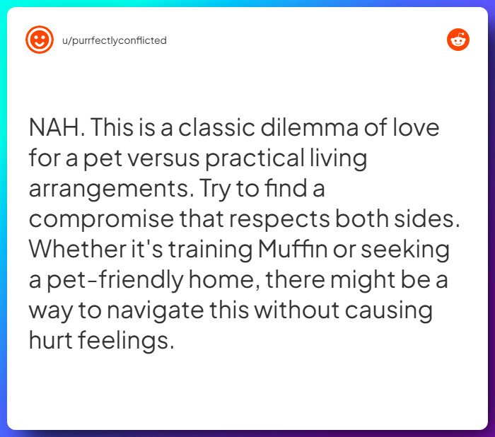 Comment from u/purrfectlyconflicted