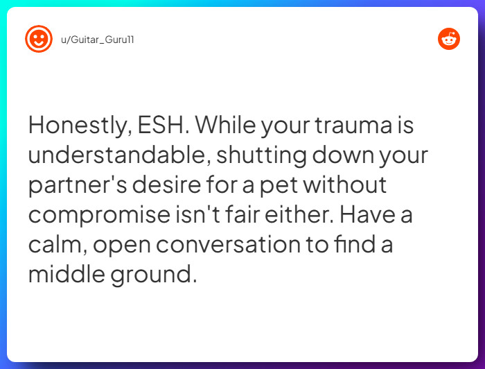 Comment from u/Guitar_Guru11