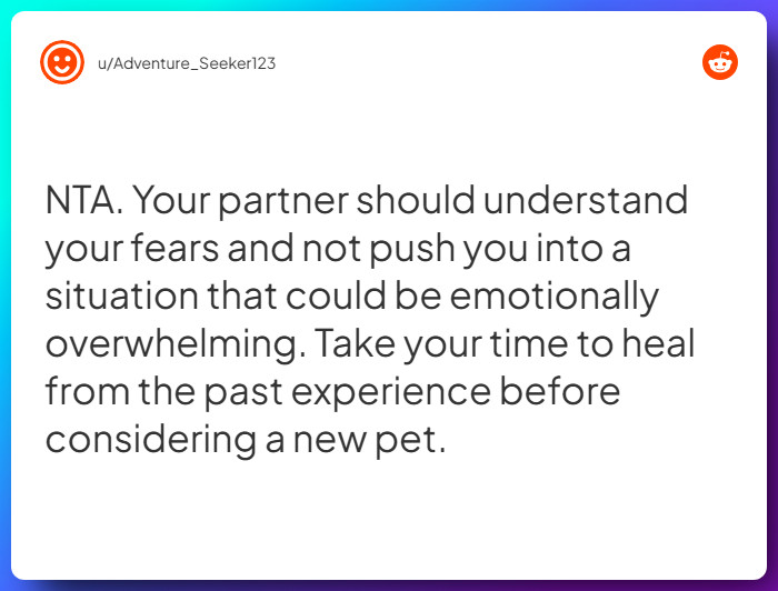 Comment from u/Adventure_Seeker123