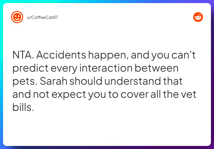 Comment from u/CoffeeCat87